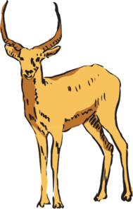 Standing Antelope Drawing Clip Art
